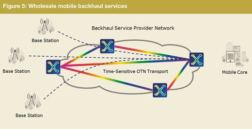 Figure 5: Wholesale mobile backhaul services