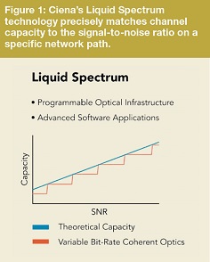  Ciena's Liquid Spedctrum technology precisely matches channel capacity to the signal to noise ratio of a specific network path.