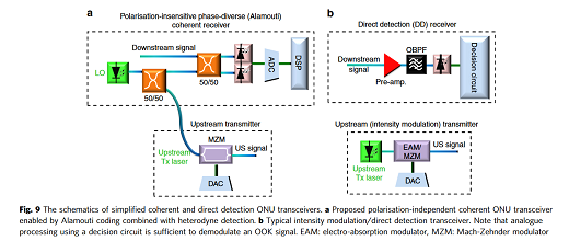 M. S. Erkılınç et al., Nature Communications