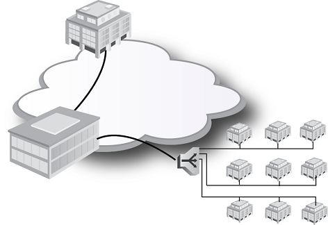 100G Access