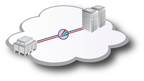 Multi Protocol Interconnect