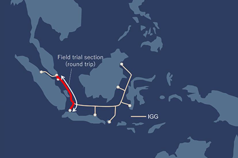 NECs field trial route