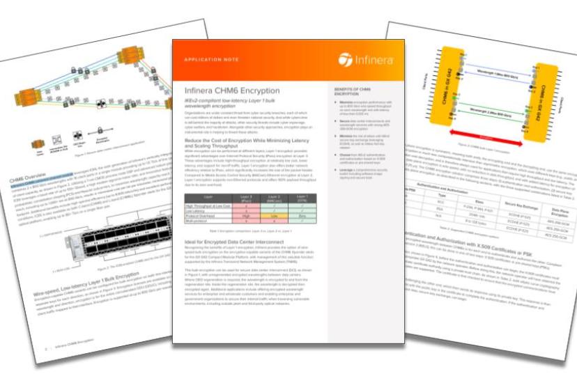 Infinera CHM6 Encryption