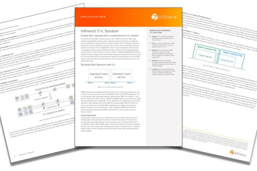 Infinera C+L solution