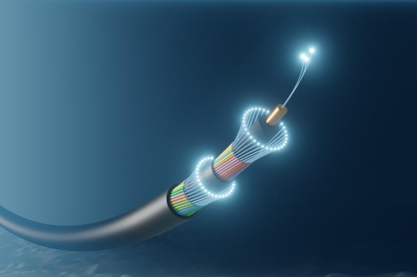 Submarine networks