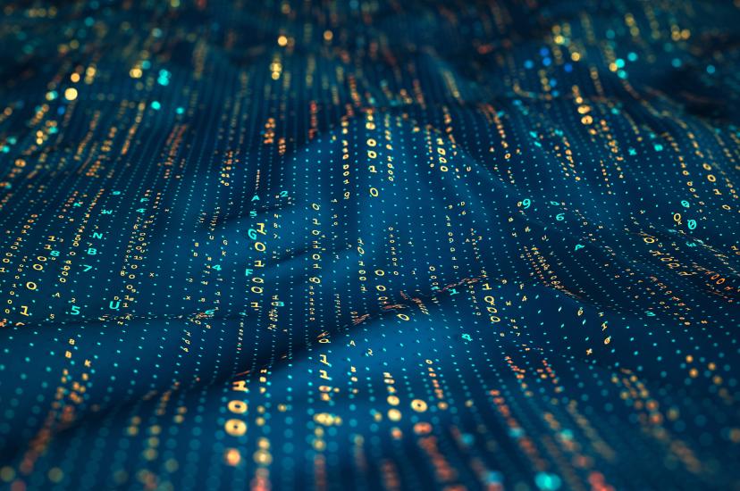 Quantum networking