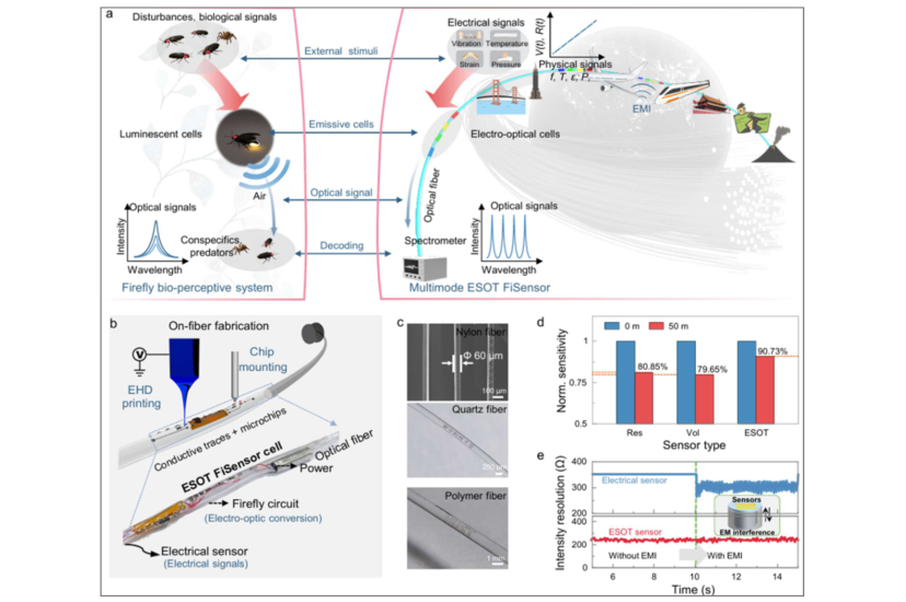 ESOT FiSensor for multimodal physical signal sensing and transmission