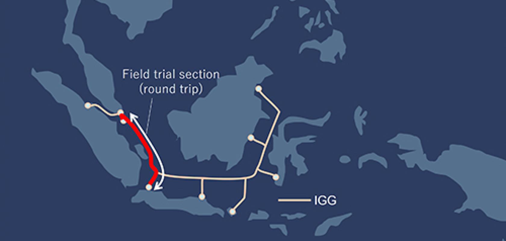 NECs field trial route